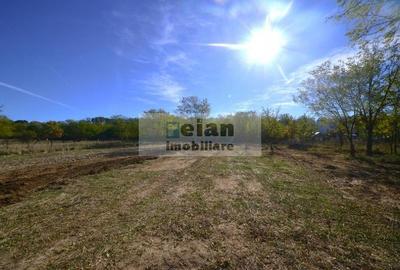 Snagov Ciofliceni Mânastire- Teren 1432 mp, d 60 m, curent gaze asfalt - 2