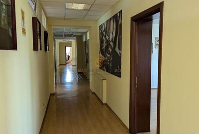Cladire de birouri D+P+4E si hala de productie, Drumul Lunca Cetatii, Sector 3 - 18