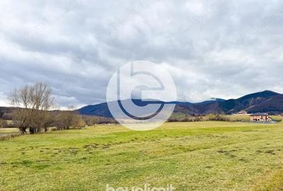 Teren intravilan in Tocile - 4354 m2 - 2 fronturi - oferta competitiva - 14