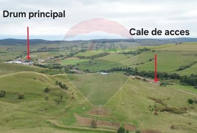 Teren de vanzare, 65 hectare - Agnita - 1