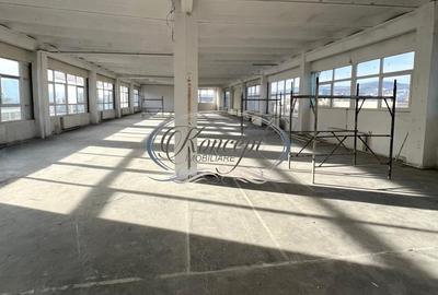 Hala depozitare/productie in Piata 1 Mai - 4