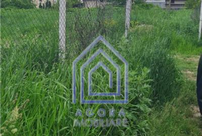 Teren , Sf Ilie Nou, zona Profi - 2