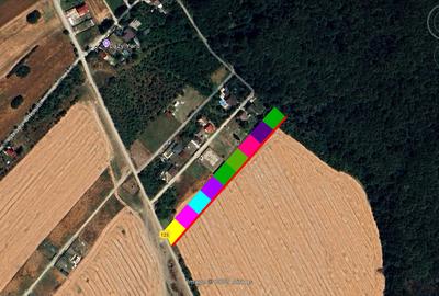 Loturi de vanzare 625 mp Domnesti, sat Teghes, langa Padure Loturi de vanzare 625 mp Domnesti, sat Teghes, langa Padure - 2