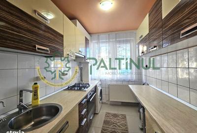 Apartament cu 2 camere semidecomandat în Șelimbăr - 9