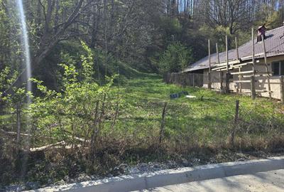 Spațiu comercial, în Central