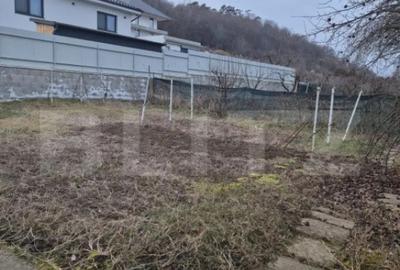 Casă cu 7 camere cu Teren 1359 Mp în Unirii - 4