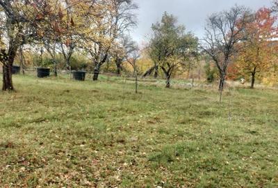 Casă cu 4 camere în Tomnatic - 8