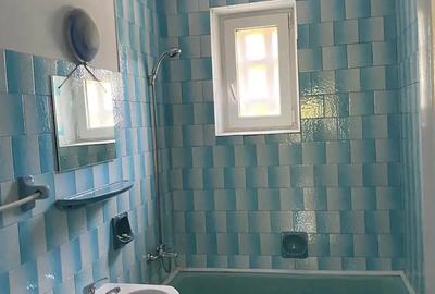 Chirie Petuniei 3 Chirie Petuniei 3 - 3