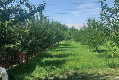 Teren Intravilan | Grigorescu | V5 UTR | deschidere 21 m | 1670mp | depozitare - 2