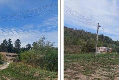 Teren Filipeni, Padure, ID: R2388724 - 6