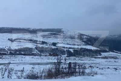 Cabana la munte in inima padurii la 15 km de Brasov, zona Zizin - 3