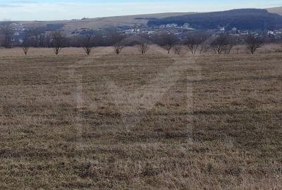 Spațiu comercial, în Jucu - 3