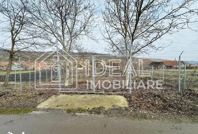 Teren de 1334 mp, în Tilișca - 11