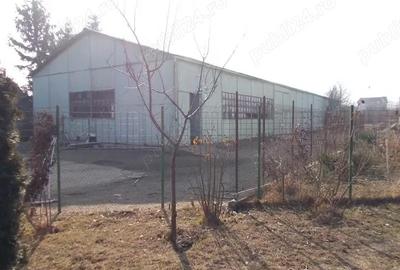 Teren de 3500 mp, în Mehala - 5