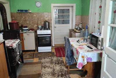 Casa de vanzare in loc.Halmeu - 2