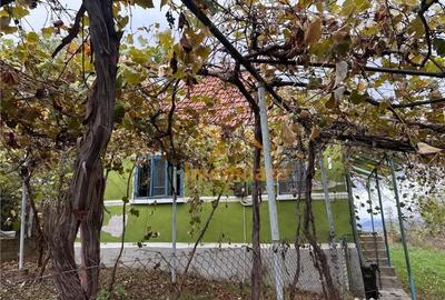 Teren de 9341 mp, în Bălnaca - 8