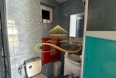 Casa batraneasca cu 2ha de teren de vanzare in sat Balaia / Bacau - 21