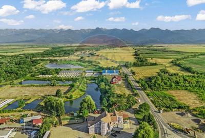 O investi?ie cu pozi?ie, infrastructura ?i viitor - 1