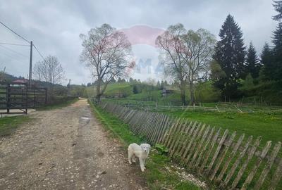 Teren 1,041mp Fundatica / Drumul Fundatica - 4