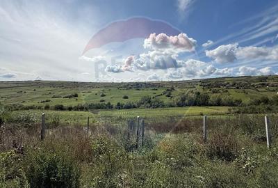 Teren Construcții intravilan de 425 mp, în Iris - 10