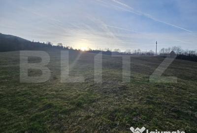 Teren de 16667 mp, în Abrud-Sat - 3