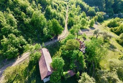 Casă cu 4 camere în Unguraș - 6