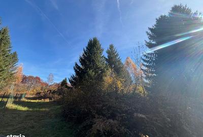 Spațiu comercial, în Central - 2