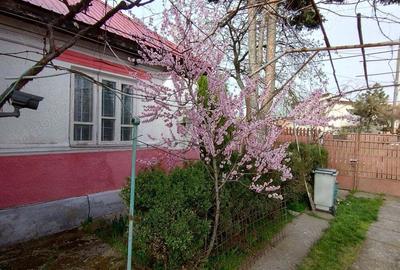 Casă cu 2 camere în Corbii Mari - 1