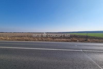 Vanzare Teren Extravilan 11000 mp, in Aricestii Rahtivani, Jud Prahova - 7
