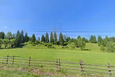 Teren Intravilan Dorna Arini, curent, apa, asfalt - Vatra Dornei - 1