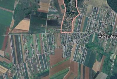 Spațiu comercial, în Vorovești - 4