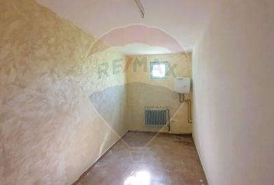Spatii comerciale si teren 885 mp, central, Sambateni - 12