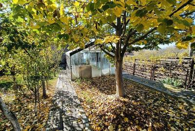 Oportunitate Unică! Casă cu teren, gradina și livadă în Valea Mare-Pitesti - 6