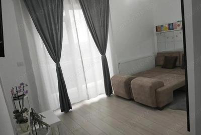 Apartament cu 1 camera POD pe toata suprafata Calea Urseni - 2