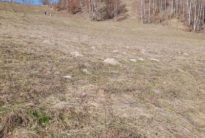 Spațiu comercial, în Vale - 3