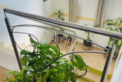 Casa, 7 camere, Ganeasa, Ilfov - 9