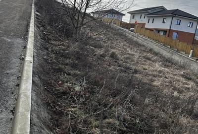 Teren Construcții intravilan de 519 mp, în Chinteni - 2