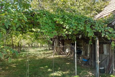 Casă cu 4 camere în Rușii-Munți - 9