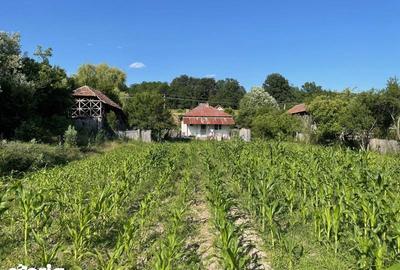 Casă cu 3 camere cu Teren 53 Mp în Ștrand - 7