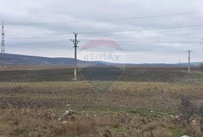 Teren de 41025 mp, în Periferie - 8
