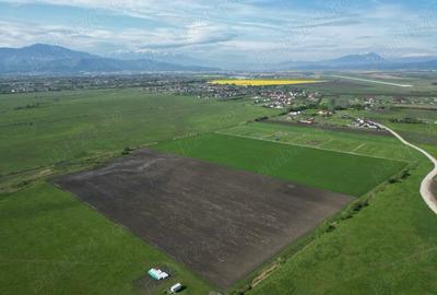Teren de 8600 mp, în Stupini - 1
