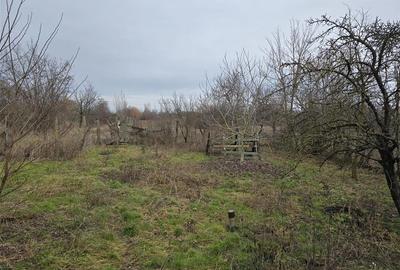 RECO Casa in Boiu - 12