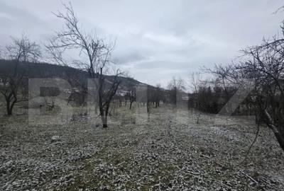 Teren de 9066 mp, în Central - 4