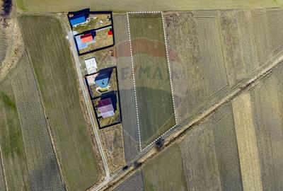 Teren agricol extravilan de 3700 mp, în Lunca Calnicului - 4