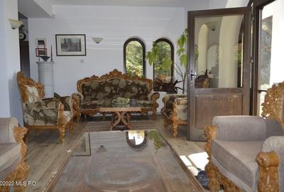 Topoloveni - Conacul Ion Mihalache, Domeniu pe 5 Hectare - 18