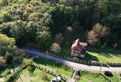 Vila Vetel zona Valea Caoi-OFERTA SPECIALA DE SARBATORI - 15