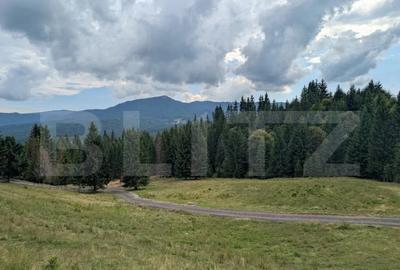 Teren intravilan de vanzare in Colibi?a oportunitate - 1