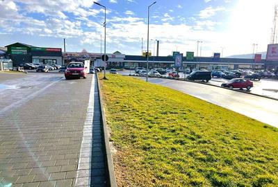 10.000 mp SPATIU COMERCIAL, 7.000 mp TEREN INTRAVILAN, CURTEA DE ARGES - ARGES - 7