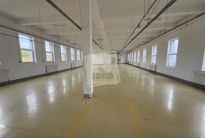 Hala industiala 3150 mp pretabila productie in Cisnadie - 3