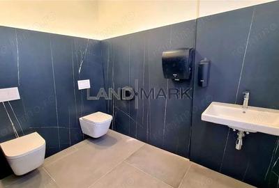 Hala noua de inchiriat , zona Lugojului - Aeroport Tmisoara - 2